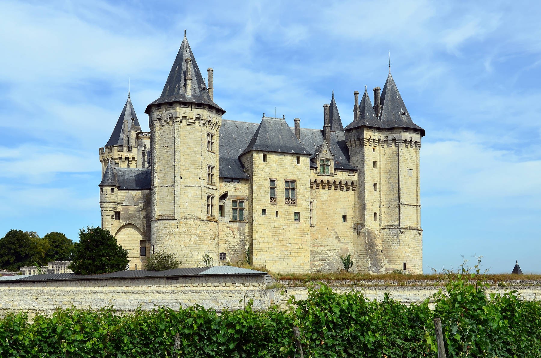 Saumur